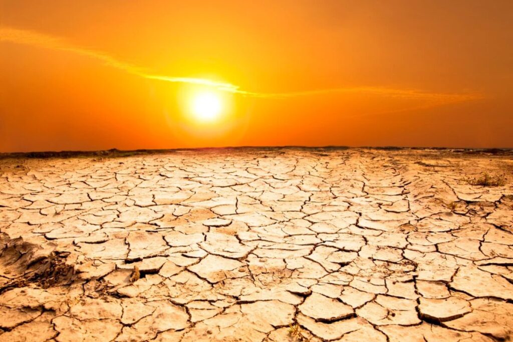 Weekend Sport Faces a Heatwave Showdown as NSW Braces for Dangerous 40°C Temperatures