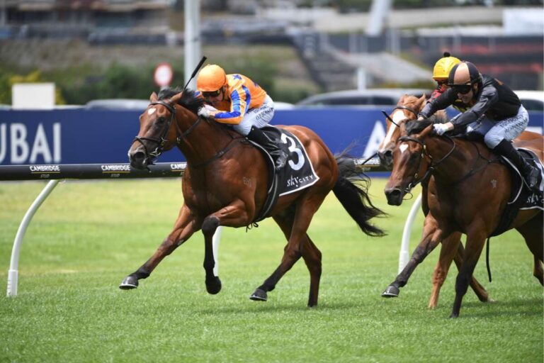 Probability and Purses: A Quantitative Audit of the Karaka Millions 2026 Filly Field