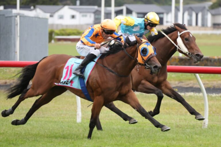 Redemption at Trentham: La Dorada Filly Reclaims the Spotlight